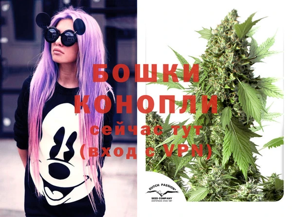 скорость Бородино
