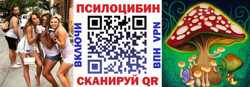 Псилоцибиновые грибы Psilocybe  Гаврилов-Ям 